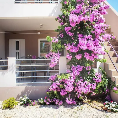 Apartment Marijana Vir Exterior photo